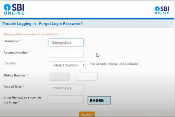 fill the details and submit the form to reset your sbi net banking password
